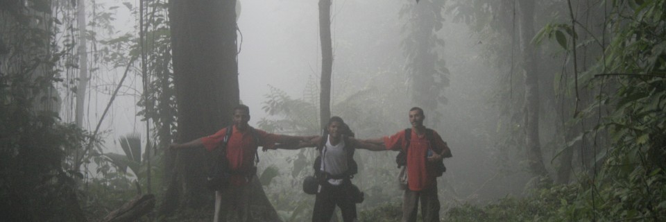 Bosques de Niebla